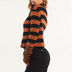 Check My Stripes Turtleneck Sweater - WinterChics